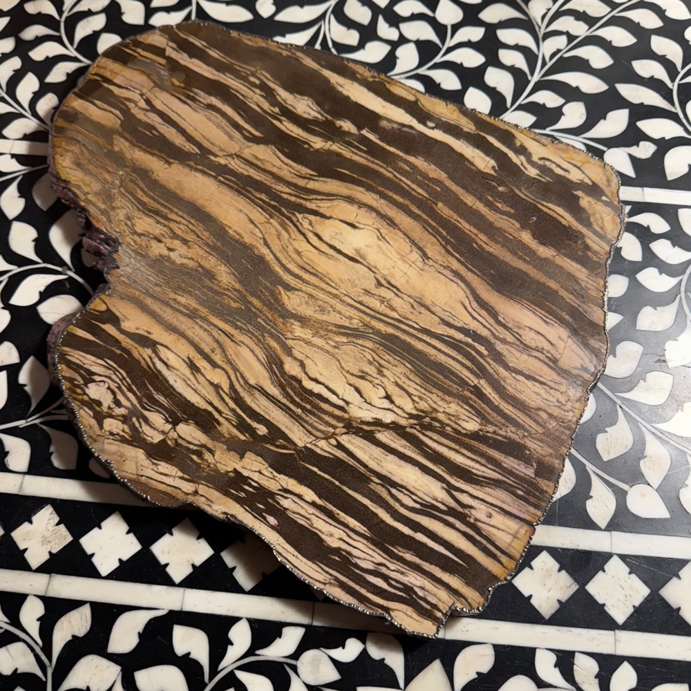Petrified Wood Decorative Tray Slab with Silver Trim